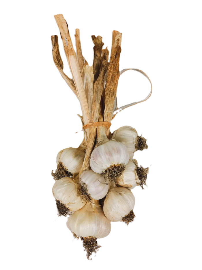 Goldenits´ Bio Knoblauch Zopf