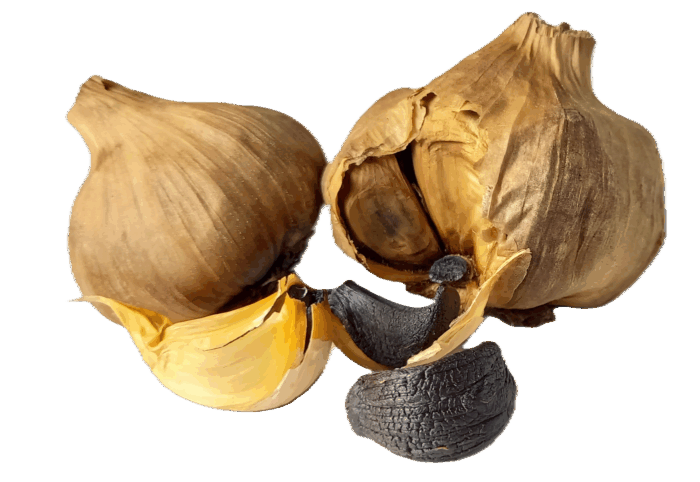 Goldenits´ Schwarzer Bio Knoblauch Ernte 2025 – Bild 3